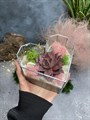 Флорариум "Сердце" SerdceL